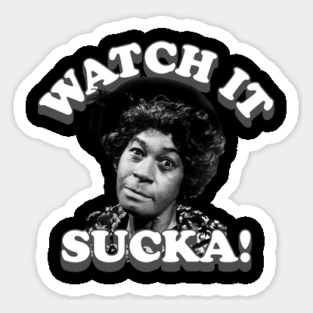 Watch It Sucka! Aunt Esther Magnet