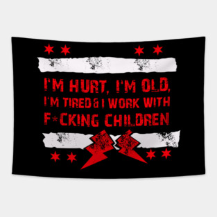 CM Punk Im Hurt, Old, Tired Tapestry