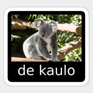 de kaulo Magnet