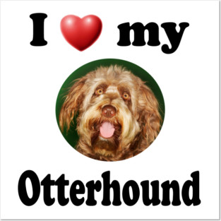 I Love My Otterhound Posters and Art