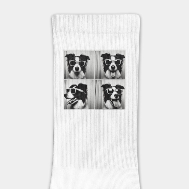 Funny Black And White Photobooth Border Collie with sunglass by Pilotshark