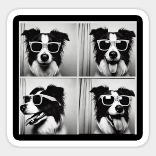 Funny Black And White Photobooth Border Collie with sunglass Sticker