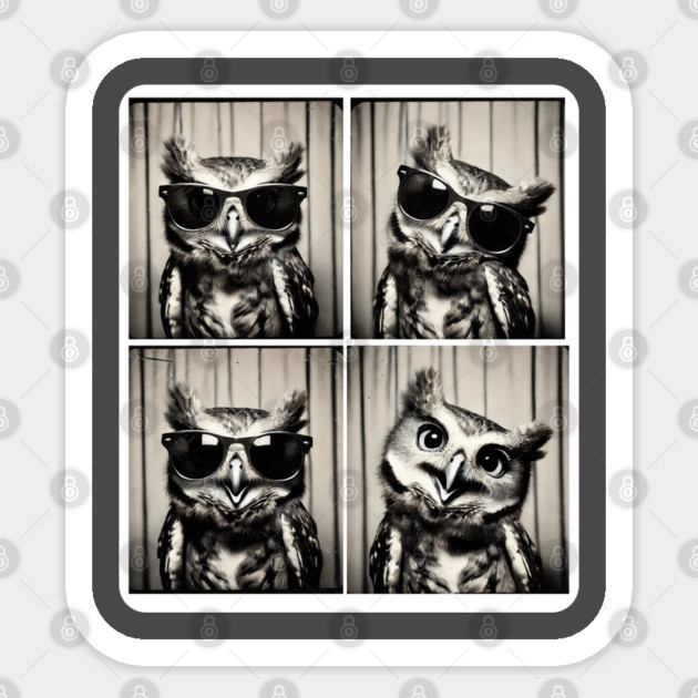 This Stylish Owl Strikes Fun And Expressive Poses In A Photobooth Sticker by Pilotshark