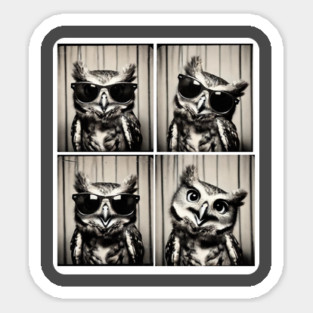 This Stylish Owl Strikes Fun And Expressive Poses In A Photobooth Magnet