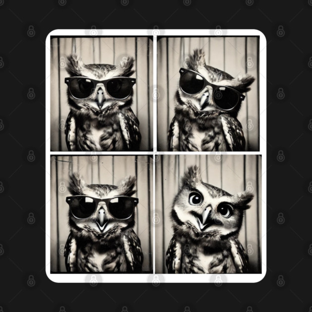 This Stylish Owl Strikes Fun And Expressive Poses In A Photobooth by Pilotshark