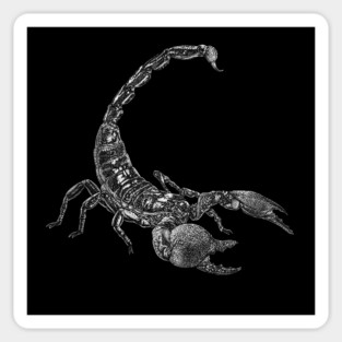 Scorpion Sticker