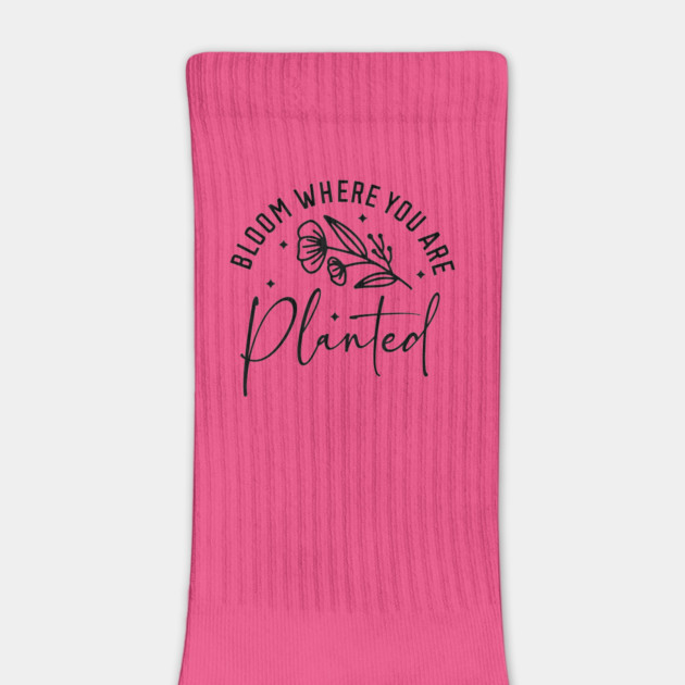 'Bloom where you are planted' by David's Store 3