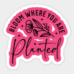 'Bloom where you are planted' Sticker
