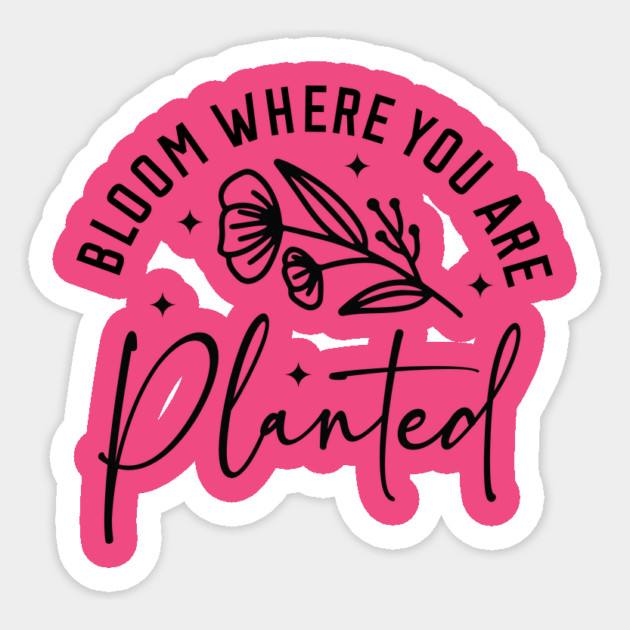 'Bloom where you are planted' Sticker by David's Store 3