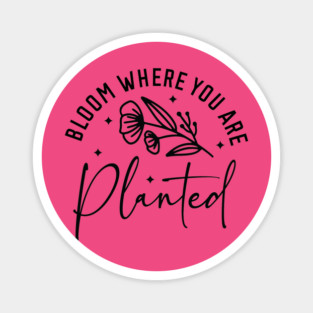 'Bloom where you are planted' Magnet