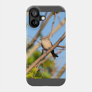 Chipping Sparrow In a Tree Phone Case