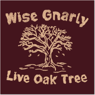 Wise Gnarly Live Oak Tree Posters and Art