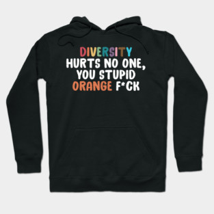 Diversity Hurts No One, You Stupid Sarcasm Anti Felon Hoodie