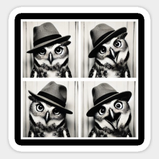 photo booth owl Sticker