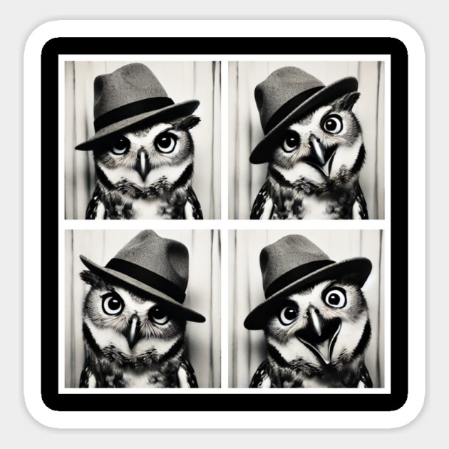 photo booth owl Sticker by BA