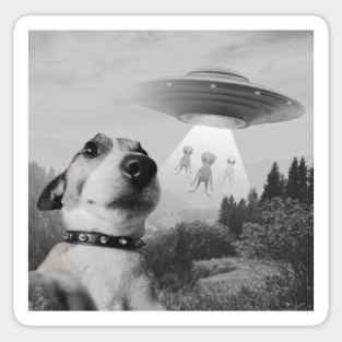 Dog Taking Selfie Aliens Magnet