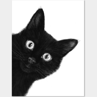 Black cat Posters and Art