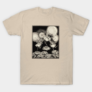 Fairies dancing on Daisies T-Shirt