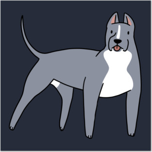 Pitbull Posters and Art