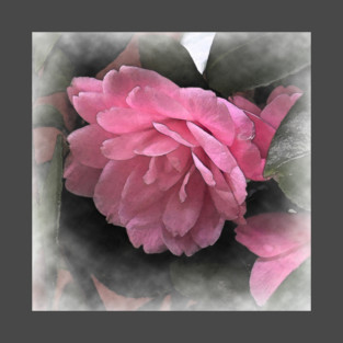 Pink Camellia Bloom T-Shirt