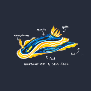 Sea Slug Anatomy T-Shirt