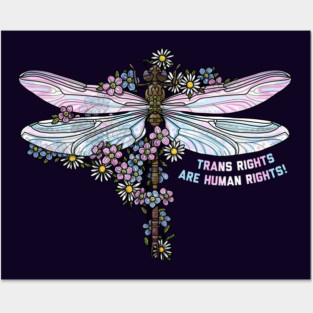 Dragonfly Trans Rights Posters and Art
