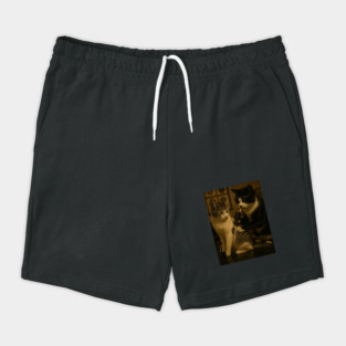cat Shorts