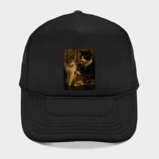 cat Hat