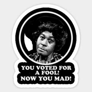 Aunt Esther: You Voted for a Fool Now You Mad Magnet