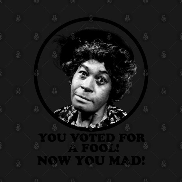 Aunt Esther: You Voted for a Fool Now You Mad by UrbanLifeApparel