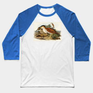 Nankeen Night Heron. Elizabeth Gould Baseball T-Shirt