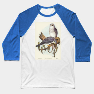 New Holland Goshawk. Elizabeth Gould Baseball T-Shirt