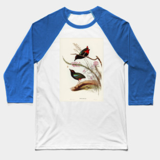 Rainbow Pitta. Elizabeth Gould Baseball T-Shirt