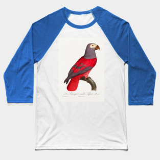 African Grey Parrot. Francois Levaillant Baseball T-Shirt