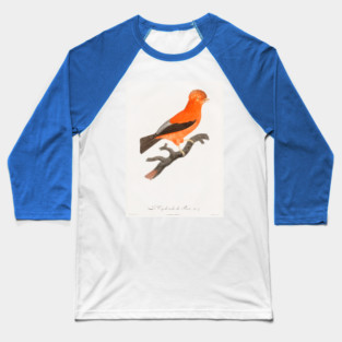 Andean Cock Of The Rock. Francois Levaillant Baseball T-Shirt