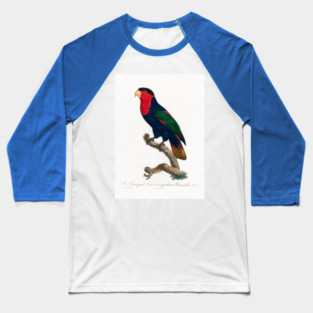 Black Capped Lory, Francois Levaillant Baseball T-Shirt