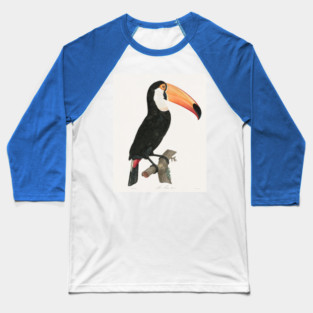Black Toucan, Francois Levaillant Baseball T-Shirt