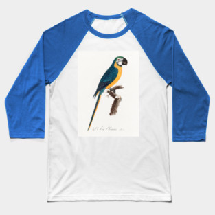 Blue And Yellow Macaw. Francois Levaillant Baseball T-Shirt