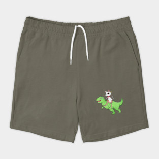 Funny Cat Riding Dinosaur, Love Cats Shorts