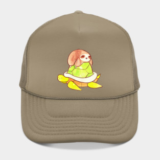 Little Sloth and Big Turtle Hat