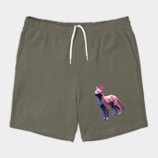 3D Cat Shorts