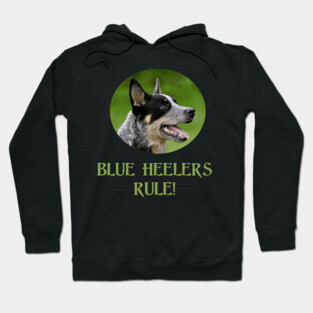 Blue Heelers Rule! Hoodie