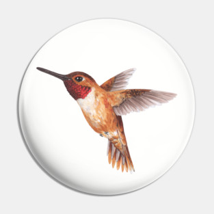 Hummingbird Pin