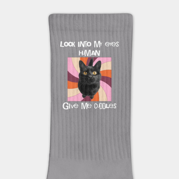 Look into my eyes, give me cuddles cat lover by Alisia's Store 1