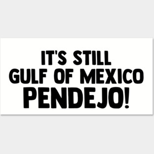 It's Still Gulf Of Mexico Pendejo Posters and Art