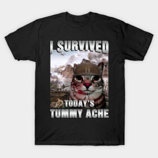 I survived today's Tummy Ache T-Shirt