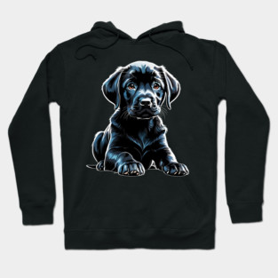 Black Lab Puppy With Soulful Eyes Hoodie