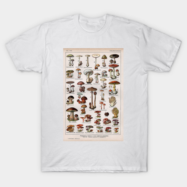 Beautiful Vintage Botanical Illustration. T-Shirt by Jeramy's Store 1