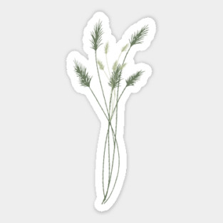 Green Pampas Grass Botanical Illustration Sticker