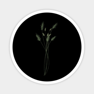 Green Pampas Grass Botanical Illustration Magnet